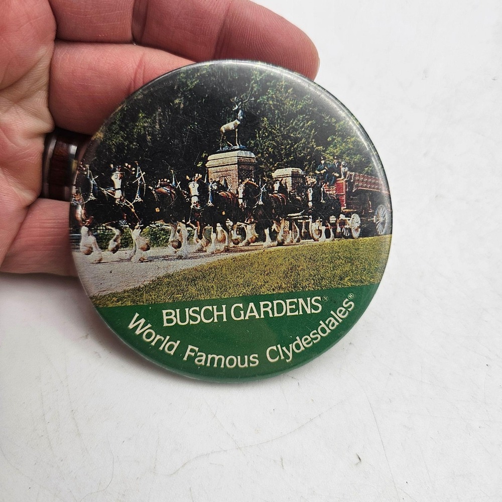 Vintage Busch Gardens World Famous Clydesdales Pinback Button Horse Theme Park